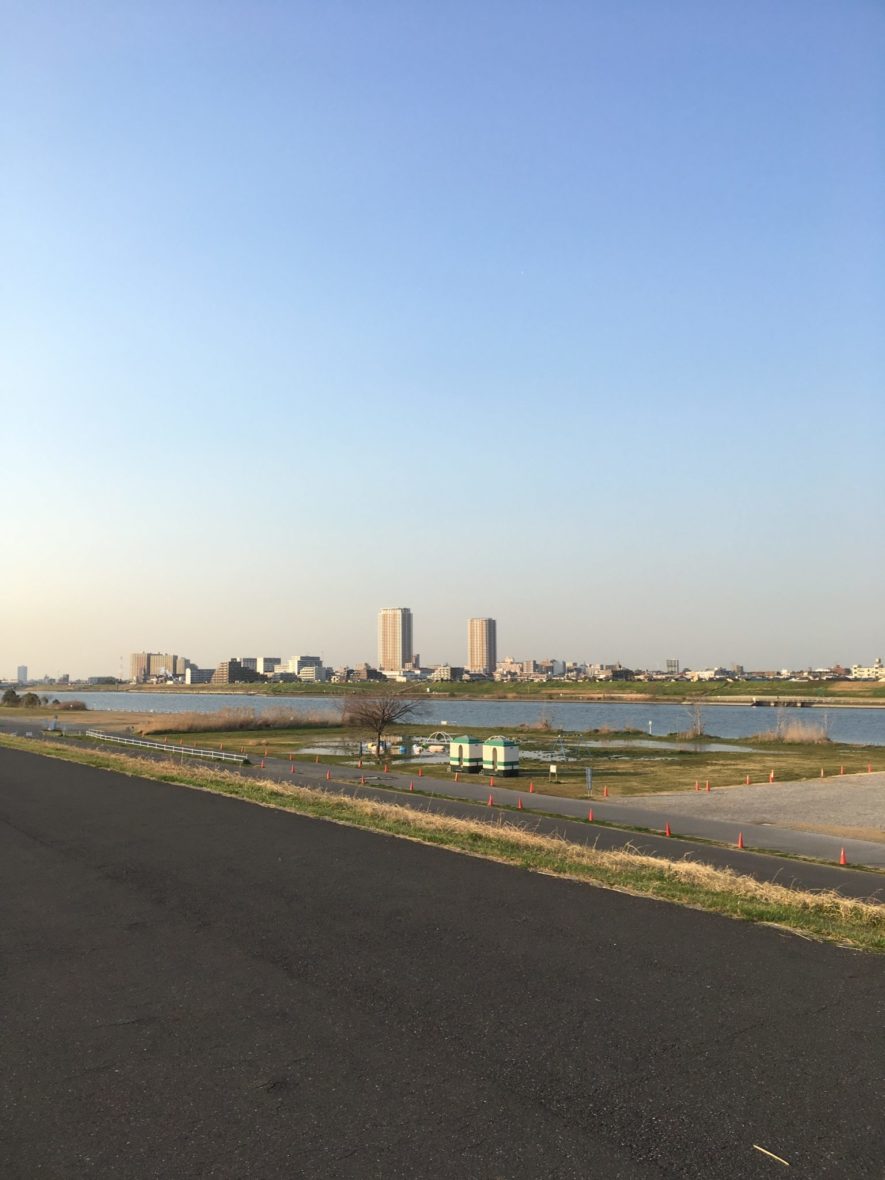 江戸川のランニングコースの写真7枚