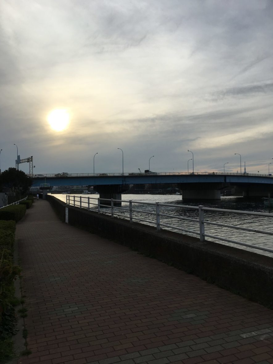 まとめ：江戸川と旧江戸川のランニングコースを走るメリット、デメリットの比較しよう