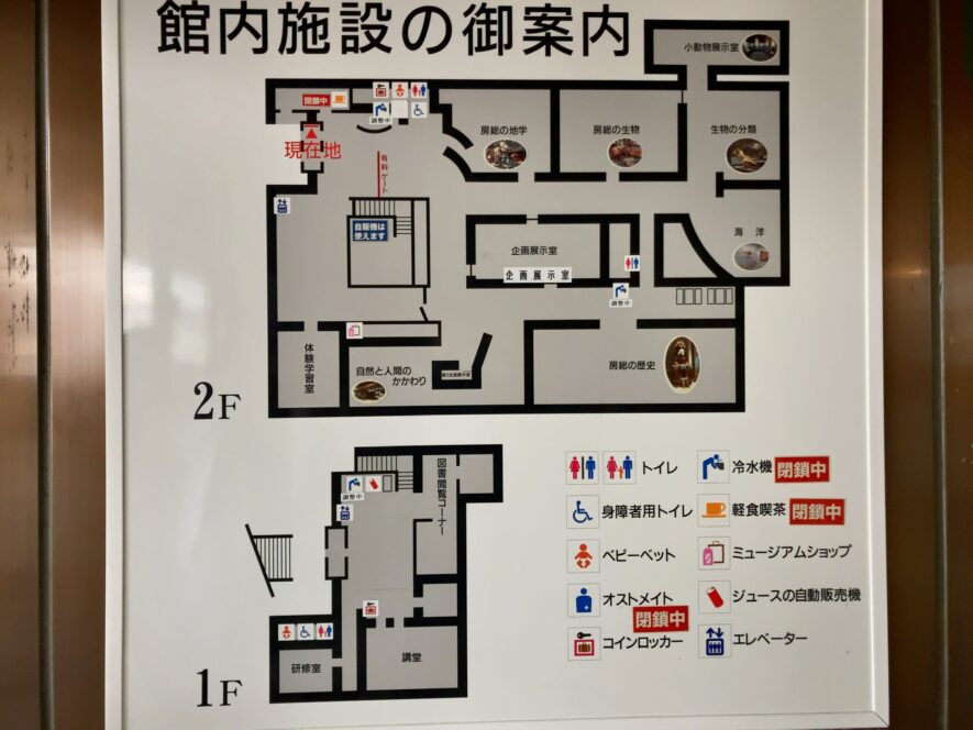 千葉県立中央博物館の展示物一覧（撮影不可エリアを除く）