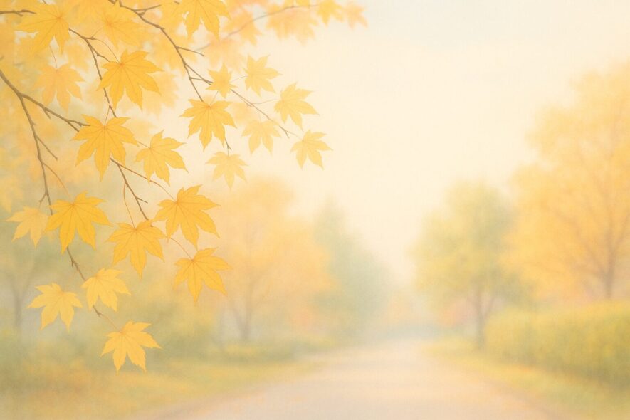 11月の基礎知識と使い分け