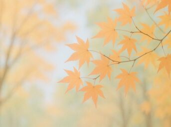 【11月中旬の時候挨拶 】迷わず書ける季節の言葉と例文集