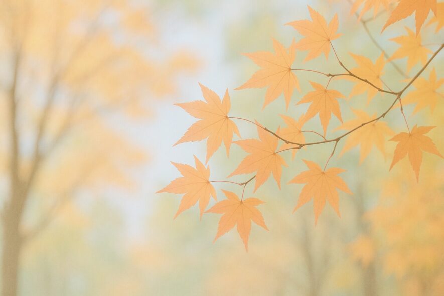 【11月中旬の時候挨拶 】迷わず書ける季節の言葉と例文集