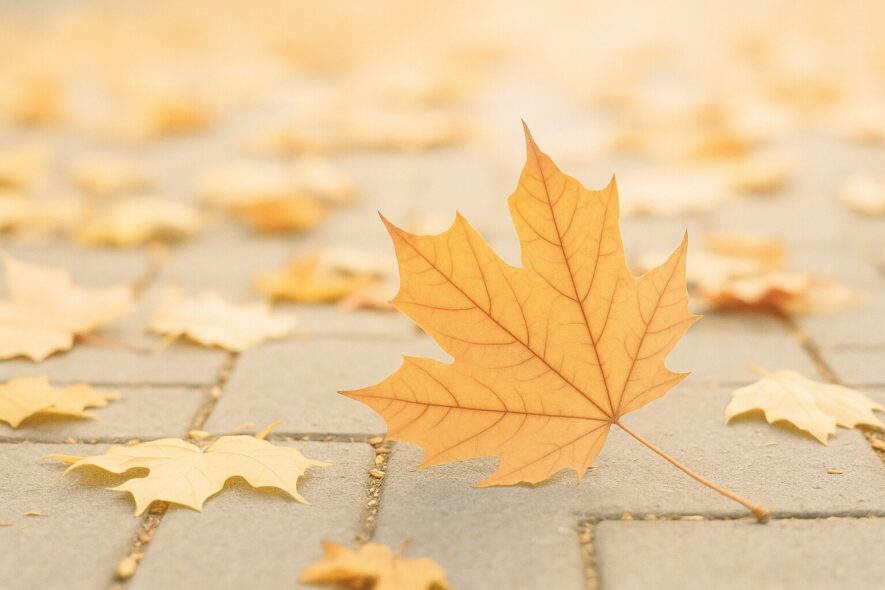 私信向けの口語調フレーズ