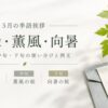 【5月の季語挨拶の例文まとめ】上旬・中旬・下旬の使い分け